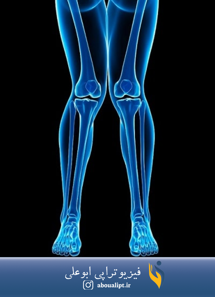 در تصوير، استخوان بندی پا و زانوی ضربدری نشان داده شده است.